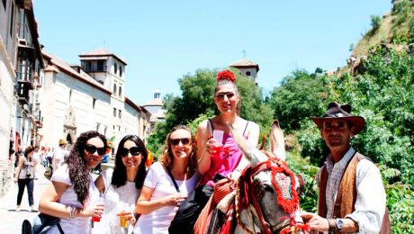 burro-taxi-en-granada Burro taxi Granada