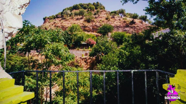 Cortijo: Conexión con la naturaleza y flexibilidad para celebración de eventos